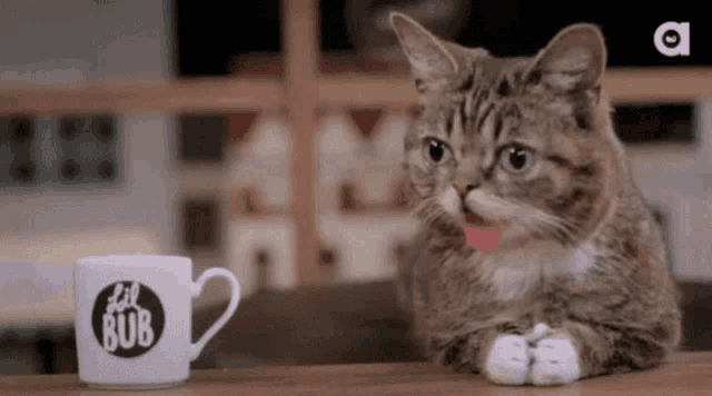 a cat is sitting at a table with its tongue out next to a cup of coffee .