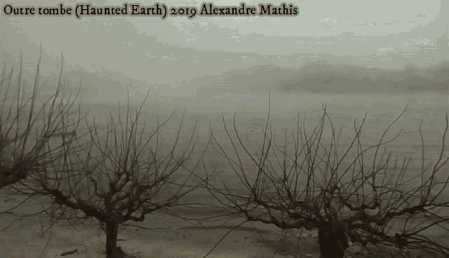 Outre Tombe Alexandre Mathis GIF - Outre Tombe Alexandre Mathis Autumn GIFs