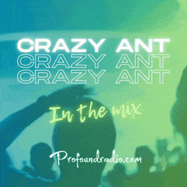 Profound Profoundradio GIF - Profound Profoundradio Crazy Ant GIFs