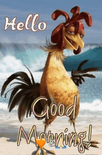 a picture of a rooster with the words hello good morning