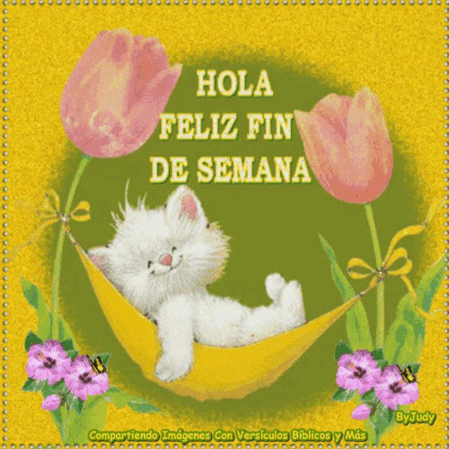 a picture of a cat laying in a hammock with the words hola feliz fin de semana on it