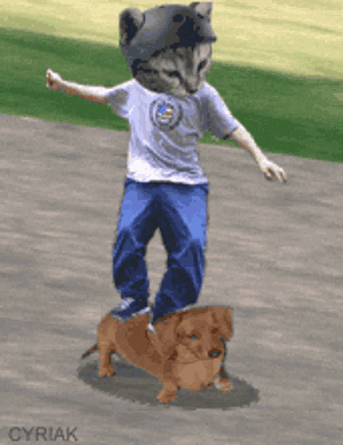 a boy with a cat head is riding a skateboard with a dog