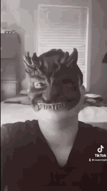 a black and white photo of a person with a devil mask on