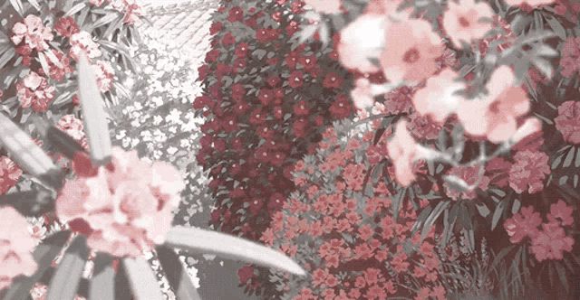 a bunch of pink and purple flowers are surrounded by green leaves