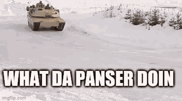 What Da Panser Doin What Ds Panzer Doin GIF