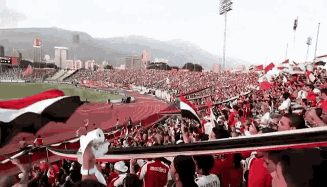 a crowd of people are watching a soccer game in a stadium