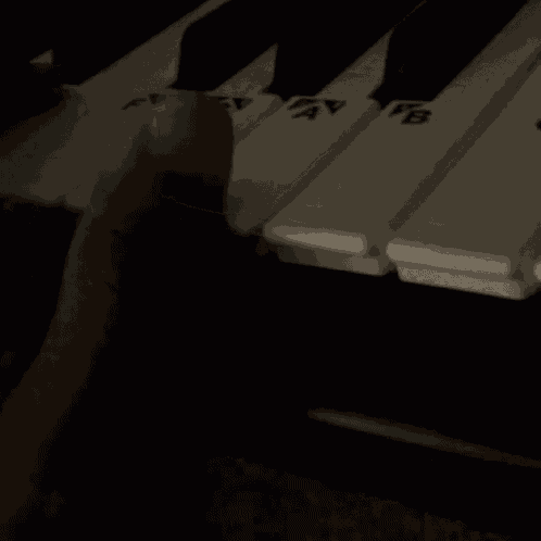 Practice Piano GIF