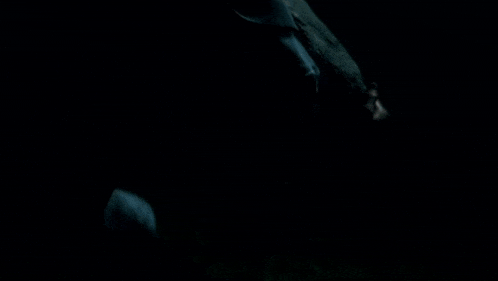 a person is laying on the ground in the dark