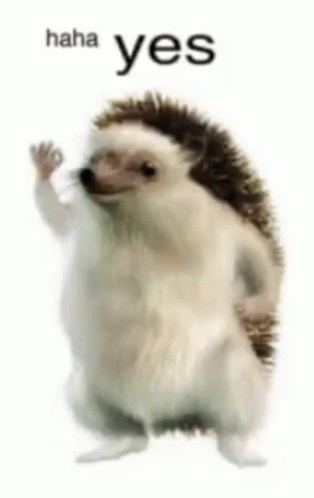 Hedgehog Haha Yes GIF
