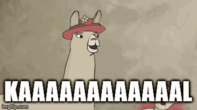 a cartoon llama wearing a red hat and the words kaaa aa aa aa aa aal