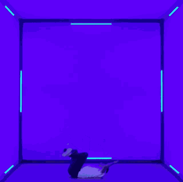 a man is doing a trick in a purple room