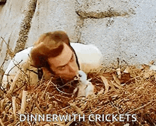 a man is laying in a pile of hay with a bird and says `` dinner with crickets '' .
