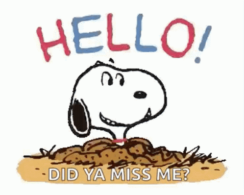 Snoopy Hello GIF - Snoopy Hello Did You Miss Me GIFs