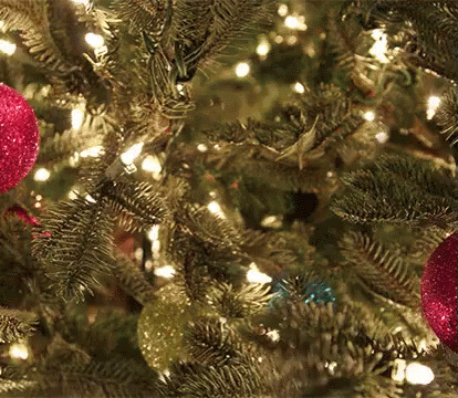 Christmas GIF - Christmas Tree Red And Gold Christmas Lights GIFs