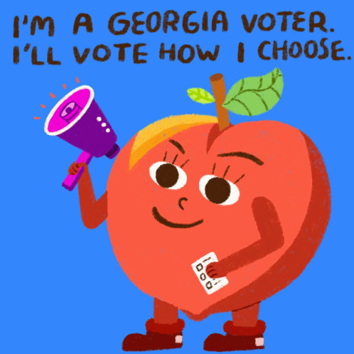 Im A Georgia Voter Ill Vote How I Choose GIF - Im A Georgia Voter Ill Vote How I Choose Freedom GIFs