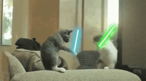 two cats are playing with lightsabers on a couch