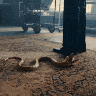 a snake is laying on a rug next to a man 's feet
