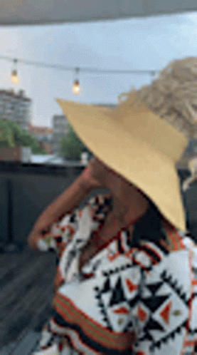 Say What Pose GIF - Say What Hat Pose GIFs
