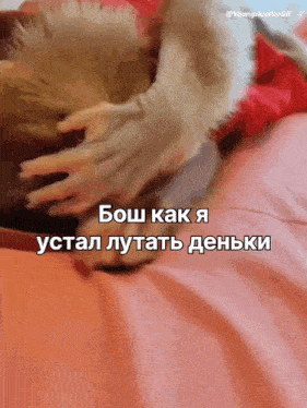 a monkey is laying on a bed with a caption that says young hustler girl