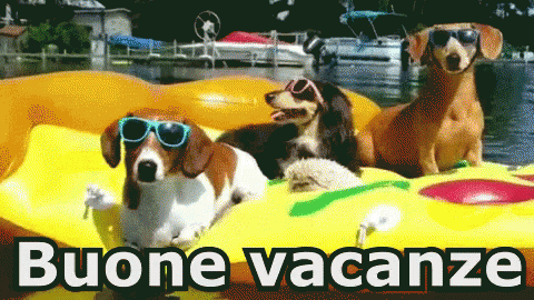 Buone Vacanze Vacanza Estate Prendere Il Sole Mare Piscina Materassino Cani Occhiali Da Sole GIF - Enjoy Your Holidays Holidays Summer GIFs