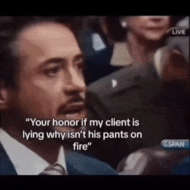 Pants Not On Fire Your Honor GIF - Pants Not On Fire Your Honor Meme GIFs