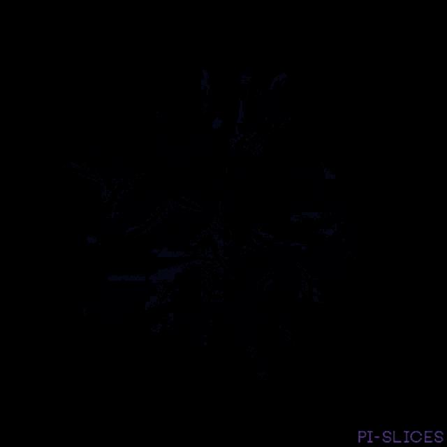 a purple and blue fireworks display with pi-slices in the bottom right corner