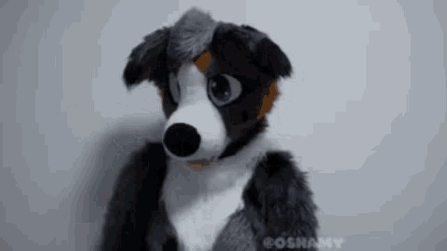 a stuffed animal in a dog costume is standing in front of a white wall .
