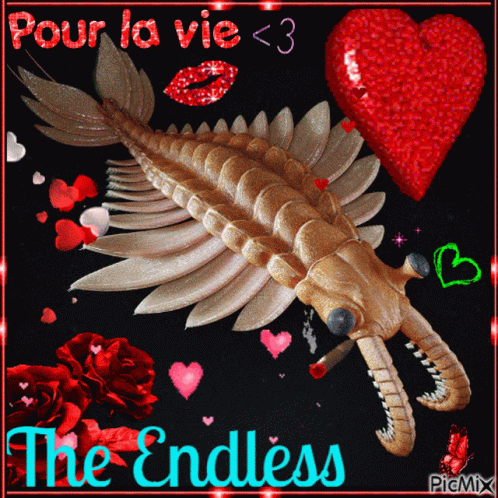 The Endless My Love GIF - The Endless My Love I Love The Endless GIFs
