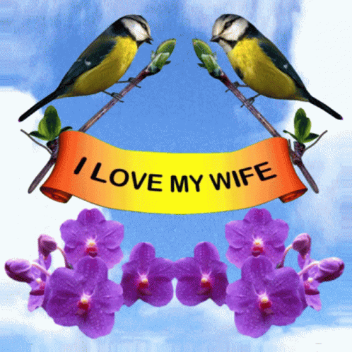 I Love My Wife Wedding Anniversary GIF - I Love My Wife Wedding Anniversary In Love GIFs