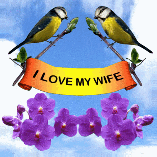two birds sitting on a branch with purple flowers and a banner that says i love my wife