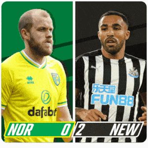 Norwich City F.C. (0) Vs. Newcastle United F.C. (2) Half-time Break GIF - Soccer Epl English Premier League GIFs