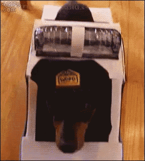 Wiener Dog Cop GIF - Cop Dog Cute GIFs