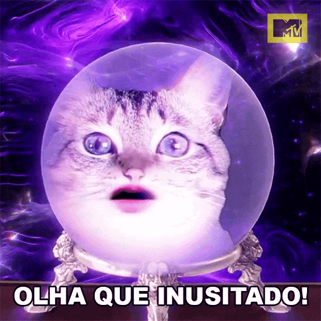 a cat in a crystal ball with the words olha que inusitado