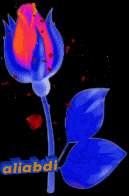 a blue and orange flower with the name aliabdi on the bottom