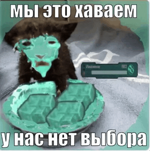 a cat with a green mask on its face is eating a pie .