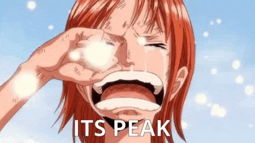 nami from one piece is crying with tears coming out of her eyes and the words `` its peak '' .