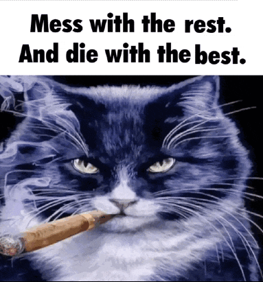 a cat smoking a cigar with the words mess with the rest and die with the best on the bottom