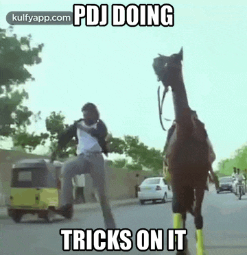 a man is riding a camel down a street with a caption that says `` pdj doing tricks on it '' .
