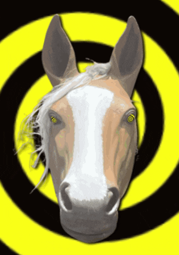 a horse 's head is in front of a yellow and black spiral