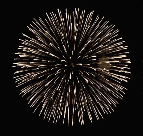 Fireworks Fourthofjuly GIF - Fireworks Fourthofjuly Newyear GIFs