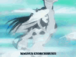 magnus exorcismus is written on the bottom of a picture