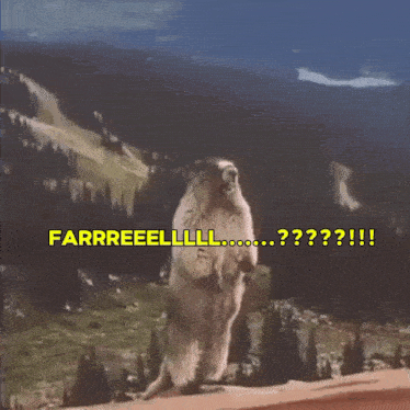 a ground squirrel standing on its hind legs with the words " farrreelll " written above it