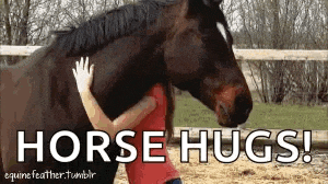 a girl is hugging a brown horse with the words horse hugs written below it .