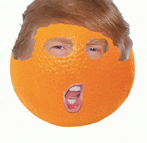 What Is Going On In My Head Trump GIF - What Is Going On In My Head Trump Orange GIFs