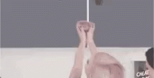 Lily Clevver GIF - Lily Clevver Lol GIFs