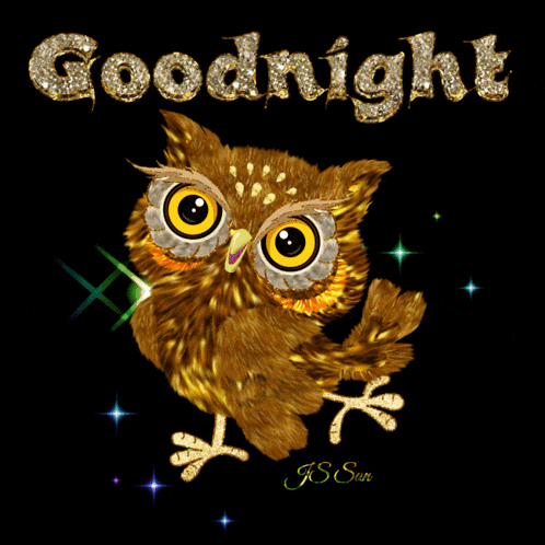 a picture of an owl that says goodnight on it