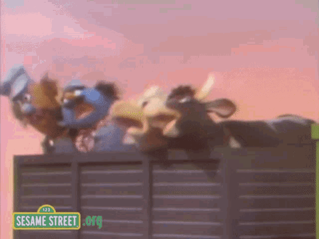 Sesame Street Casey Macphee GIF - Sesame Street Casey Macphee Cows GIFs