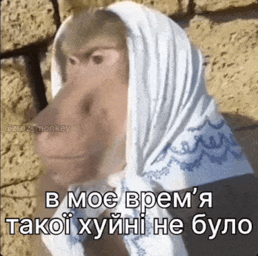 a monkey wearing a scarf around its head with a caption in a foreign language .