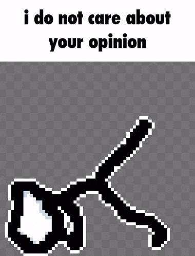 a pixel art of a person with the words `` i do not care about your opinion '' .