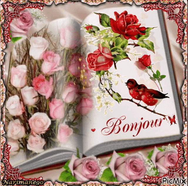 an open book with a picture of roses and a bird and the word bonjour
